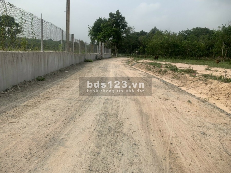Đất Vĩnh Tân Tân Uyên, giá rẻ 2.5 triệu/m2. Sổ sẵn dân cư bao quanh ngay KCN VSIP 2