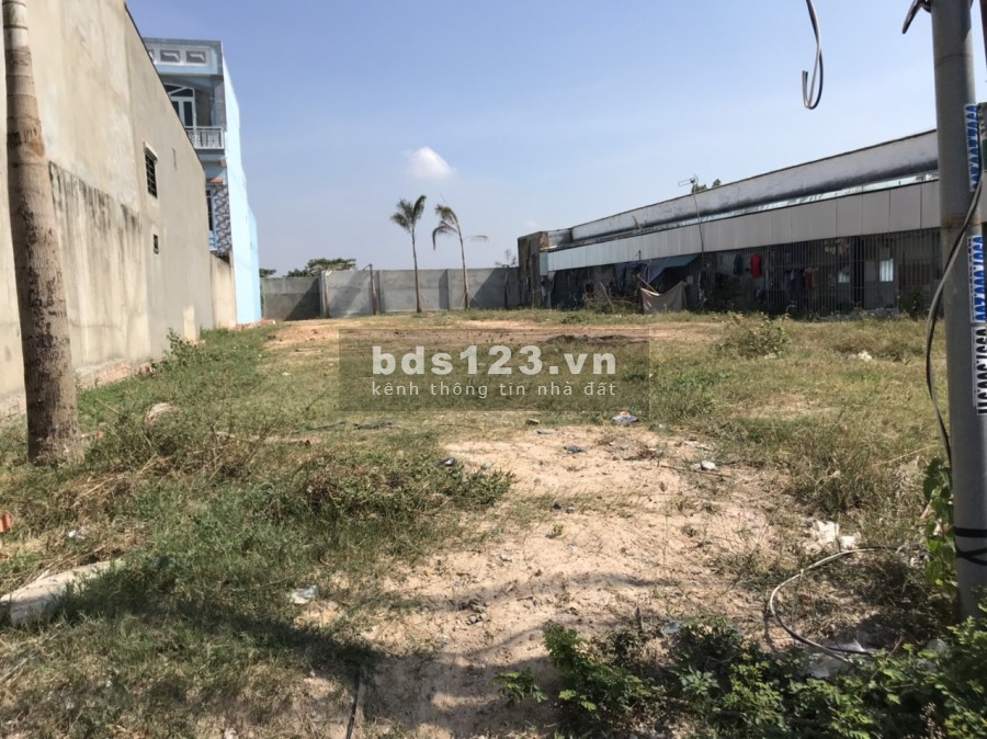 790m2 có 300m thổ cư Phước Thiền vị trí trung tâm, Nhơn Trạch, Vị thế đầy tiềm năng