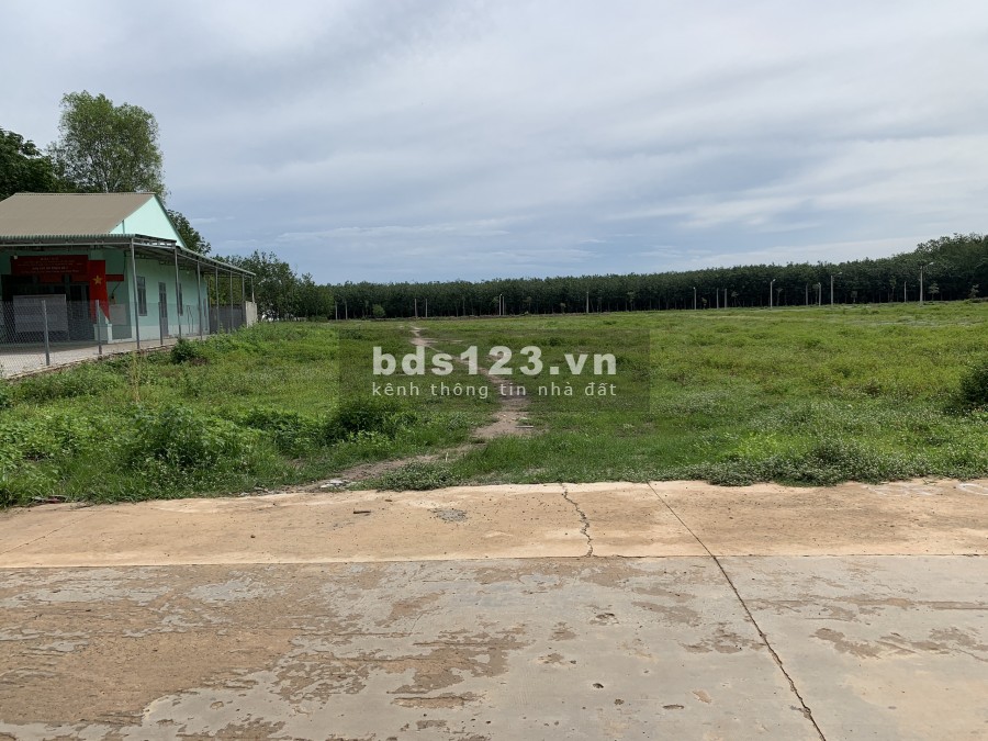 Bán gấp lô đất 3.430m2 mt đường Tỉnh 42m, ngay khu dân cư. giá 480 triệu