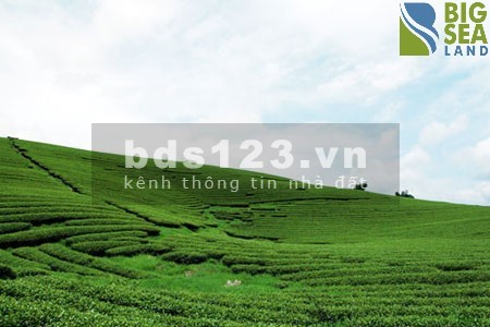 Đất nền mộc châu đón đầu quy hoach, du lịch 4 mùa cho lợi nhuận cao