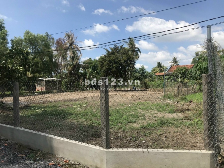 1000m2 full thổ cư giá hửu nghị cách ĐT 830 100m (30x36) oto tới đất Xã Mỹ Lệ,Cần Đước