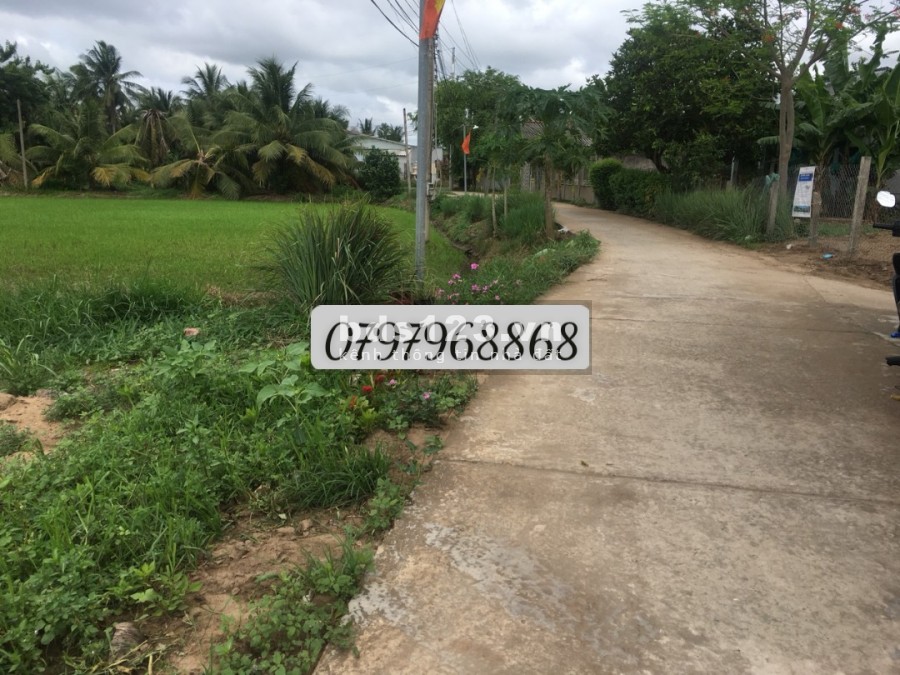Sở hữu đất nền đường Đan, đường 4m, liên hệ 0797968868, đã có sổ