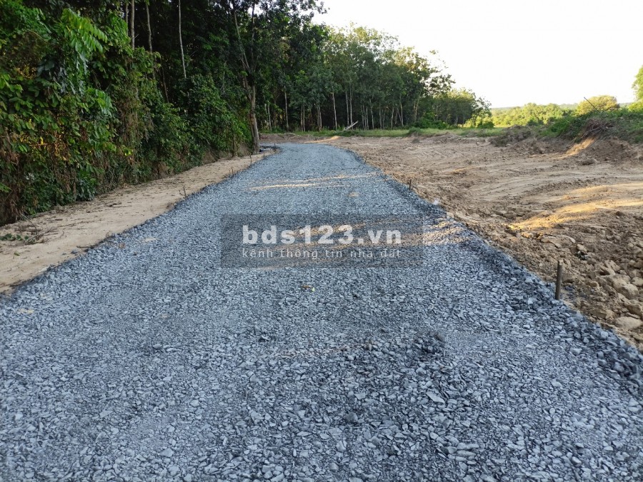 Sang nhượng 3 nền đất Phú Chánh giá gốc, sổ sẵn cầm tay, công chứng liền trong ngày.
