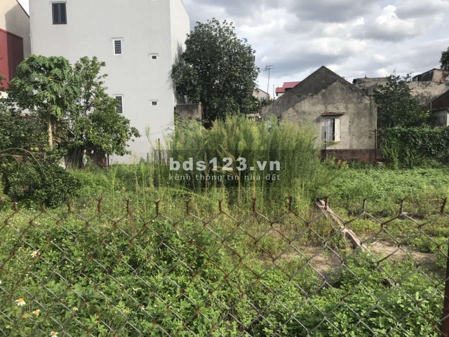 Chính chủ bán đất diện tích 92m2 bìa Xóm Vang, Cổ Loa, Đông Anh, Hà Nội