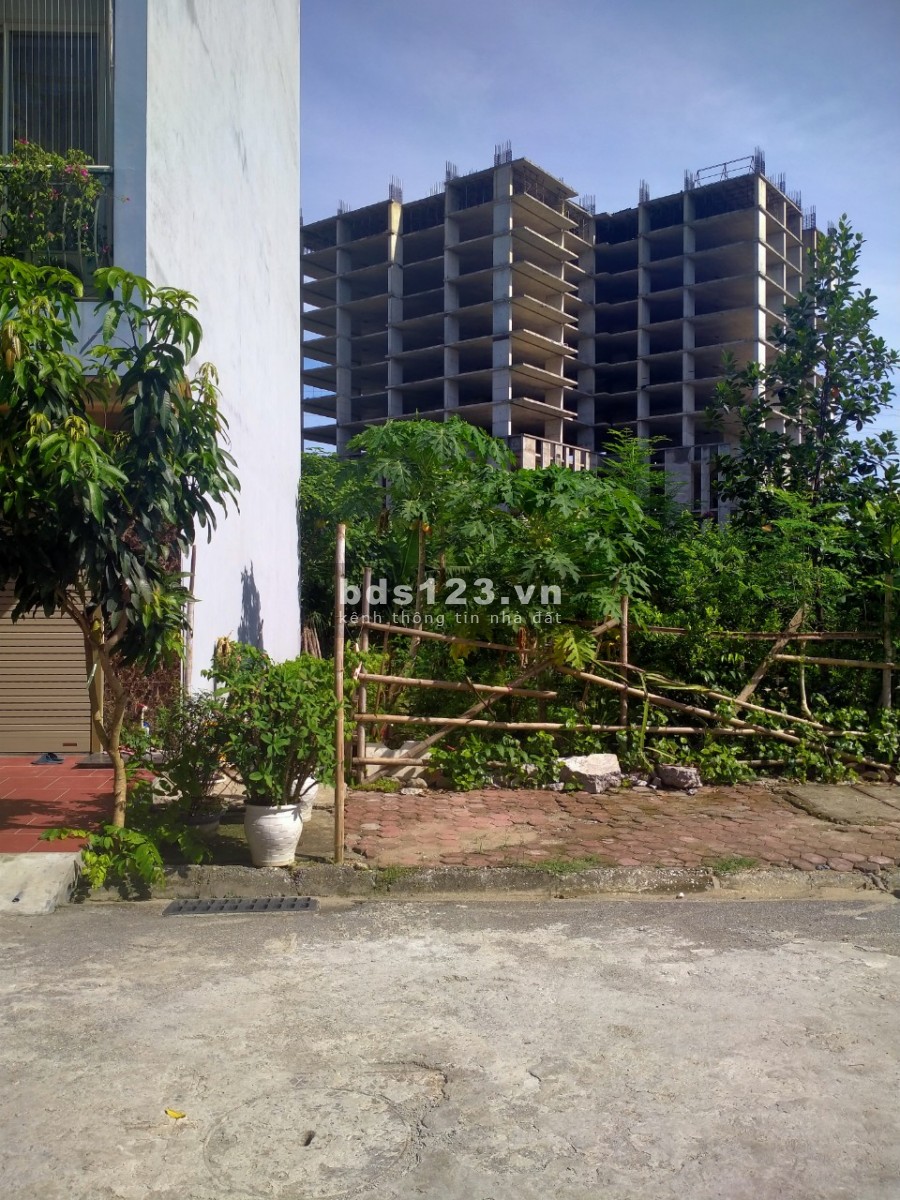 Chính chủ cần bán rất gấp lô đất dịch vụ Dọc Bún 1-La Khê, Hà Đông; đất đẹp, khu đô thị 50m2