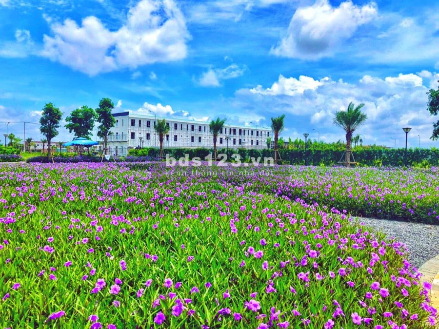 Tặng ngay liều vacxin cho khách tìm hiểu dự án The Sol City