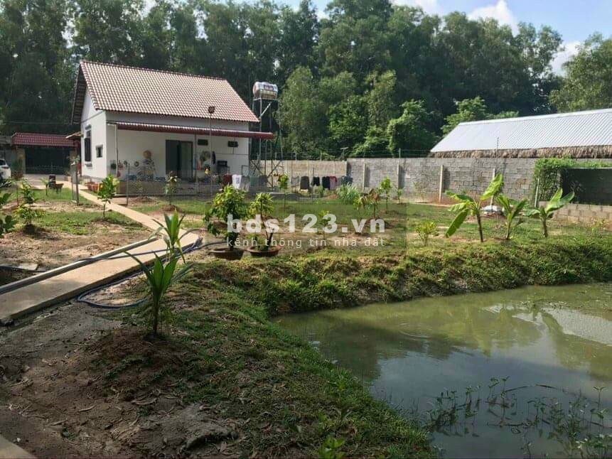 Bán đất chỉ 2 tỷ 3 sở hữu ngay lô đất thổ vườn 1000m2 Củ Chi