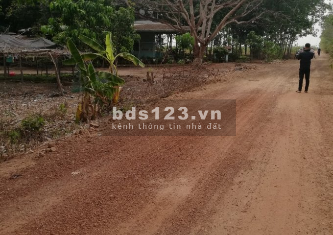 Bán đất giá rẻ mùa Covid tại Dầu Tiếng, sổ sẵn, cách ĐT750 500m, dân đông