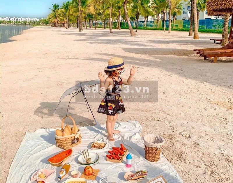 Vinhomes Ocean Park cập nhật quỹ căn cho thuê chung cư từ 3 triệu-9 triệu, căn 1pn, 2 pn, 3 pn