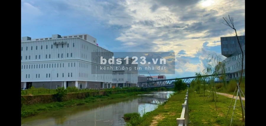 Bán 300m2 đất shr MP4 sát vách trường ĐH Quốc Tế Việt-Đức mặt đường Vành Đai 4