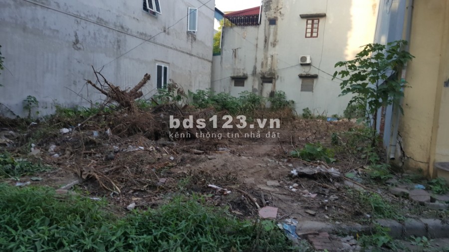 Bán đất Đại Áng, an sinh đỉnh ngõ nông thoáng, dt 43m2, giá nhỉnh 1 tỷ, sổ đẹp chính chủ