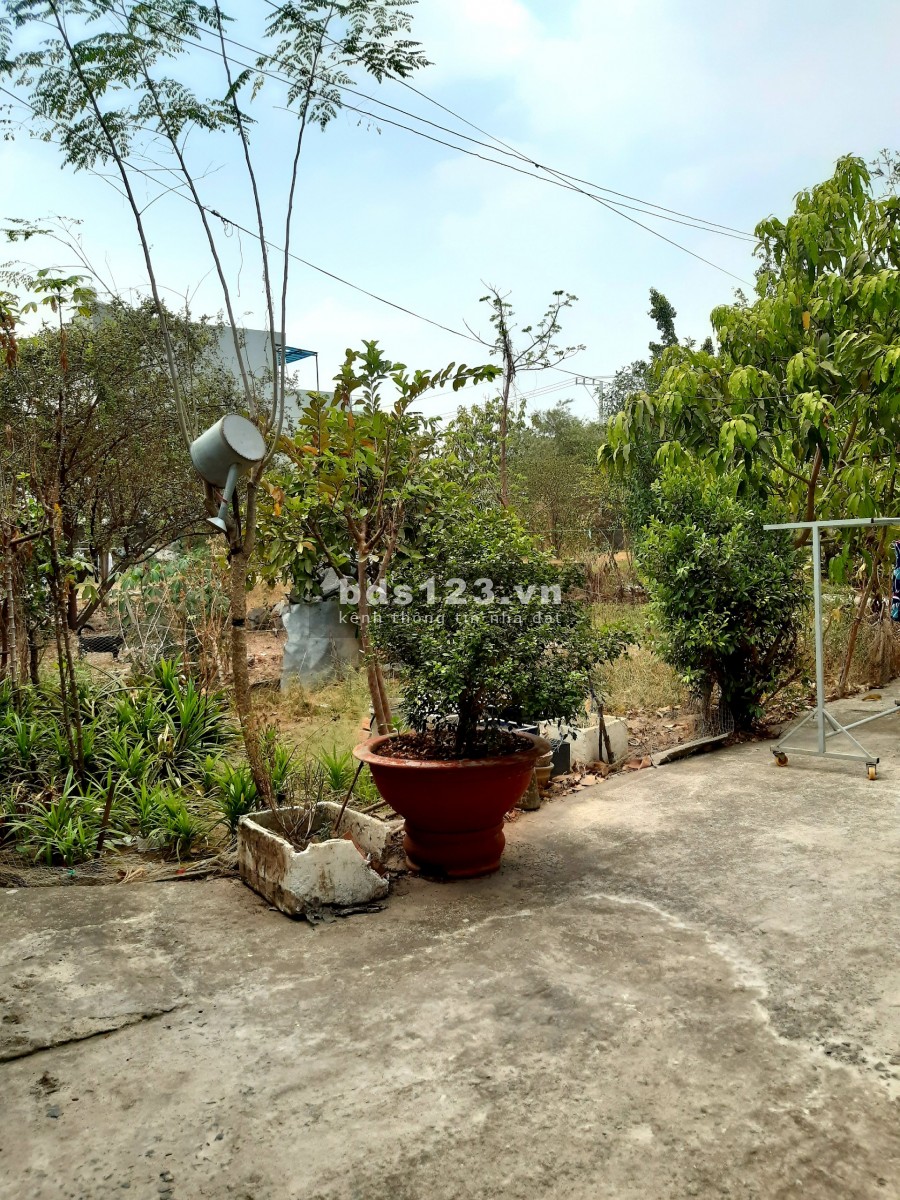 Đất tại Trung Tâm Tài Chính mới TP Thuận An - Bình Dương