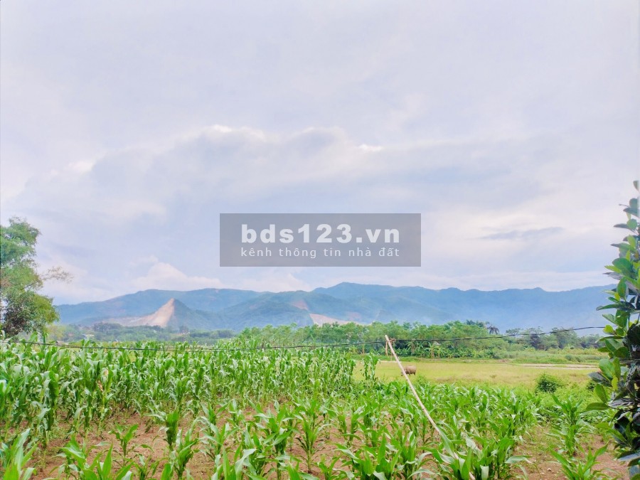 Chính chủ cần tiền bán gấp mảnh Nhuận Trạch, Lương Sơn, Hoà Bình gần tổ hợp khu du lịch Đồng Chanh