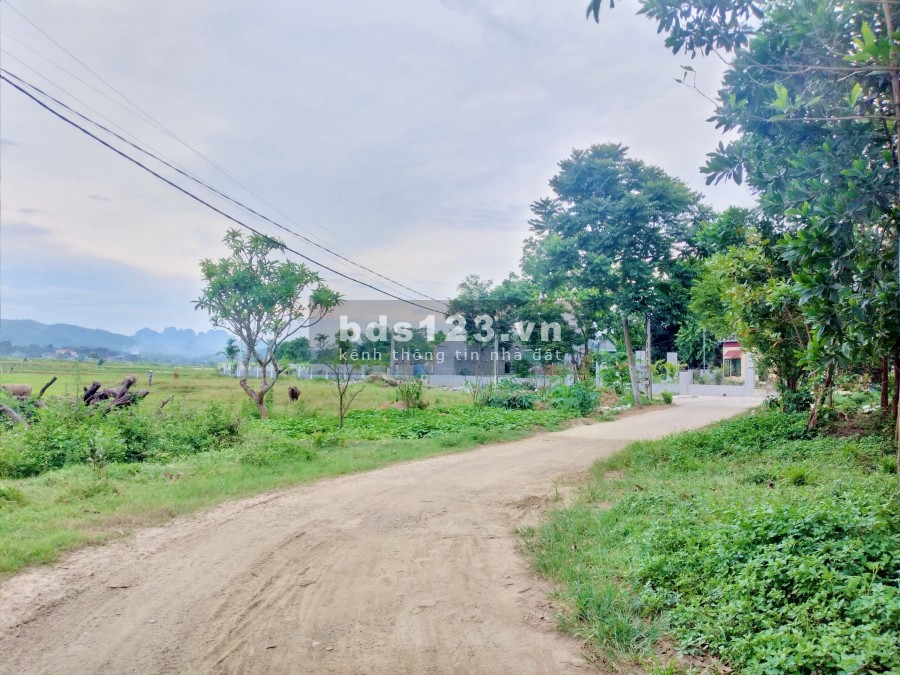 Chính chủ cần tiền bán gấp mảnh Nhuận Trạch, Lương Sơn, Hoà Bình gần tổ hợp khu du lịch Đồng Chanh