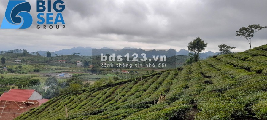 Bán mảnh đất Mò Phú Chải nút giao đón đầu giữa Y Tý và Sa Pa tiềm năng tăng giá cao