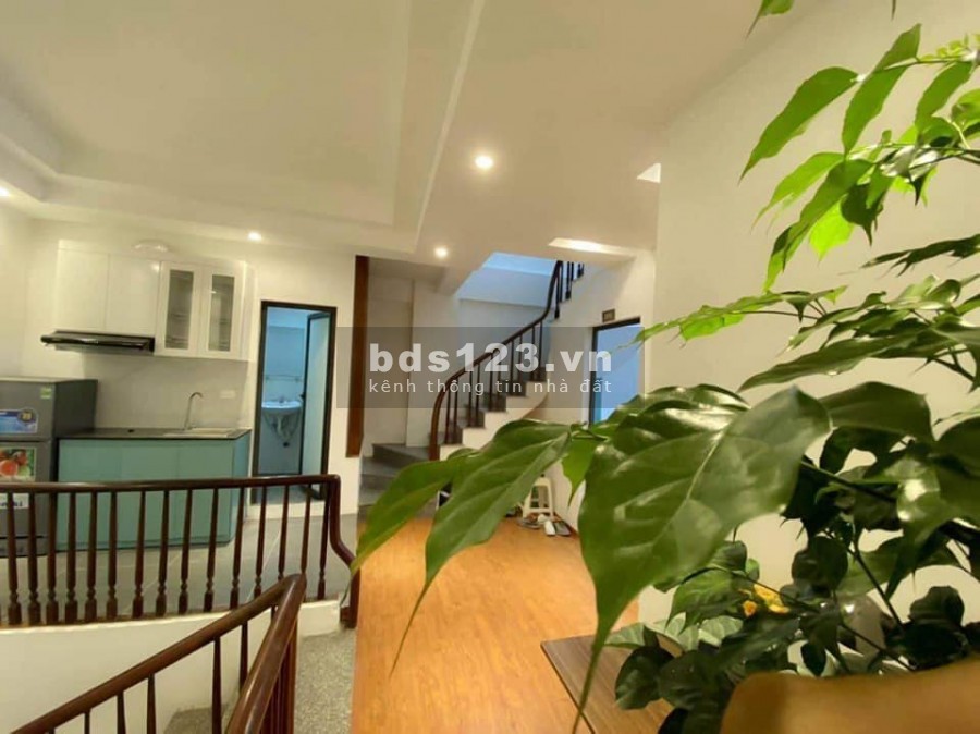 Cực hiếm bán nhà Hào Nam, ngõ ô tô, kinh doanh đỉnh, 45m2, nhỉnh 4 tỷ