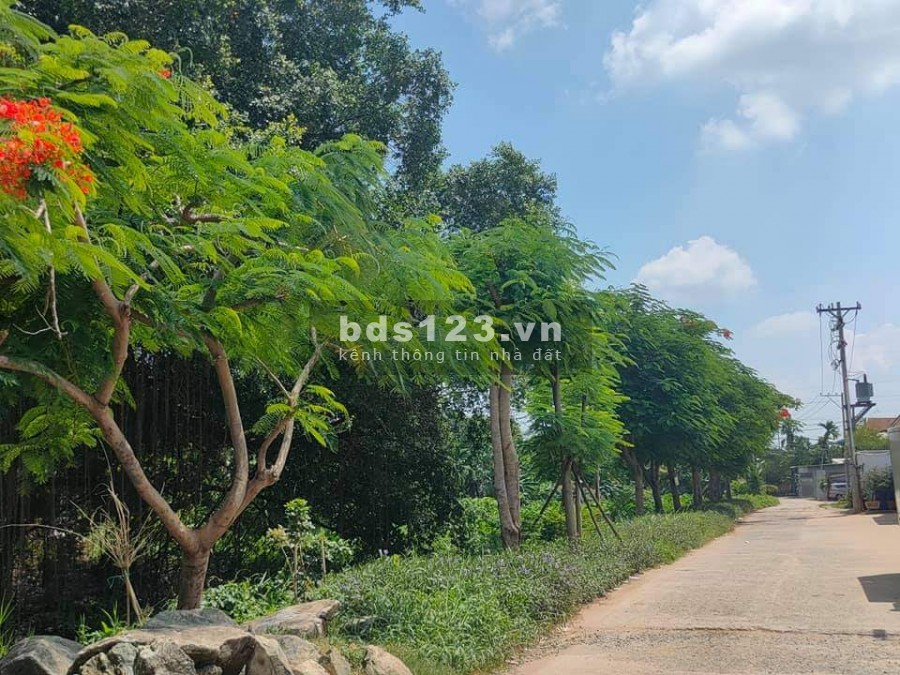 Hẻm xe hơi Thạnh Lộc, diện tích 184(8 x 23), dòng tiền 20 triệu, 7 tỷ