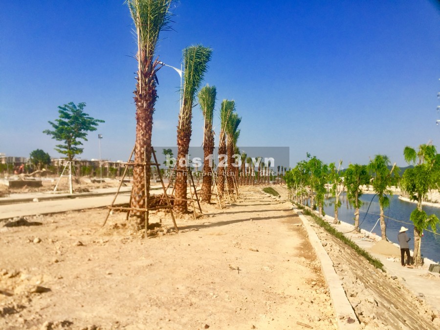 Vinh Heritage nhà phố phong cách Châu Âu, thiết kế tân cổ điển sang trọng