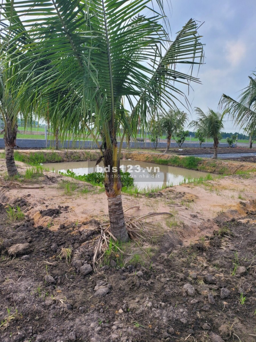 Chỉ 2.3 tỷ có ngay 1000m2 đất vườn tại Trung Lập Ha, Củ Chi