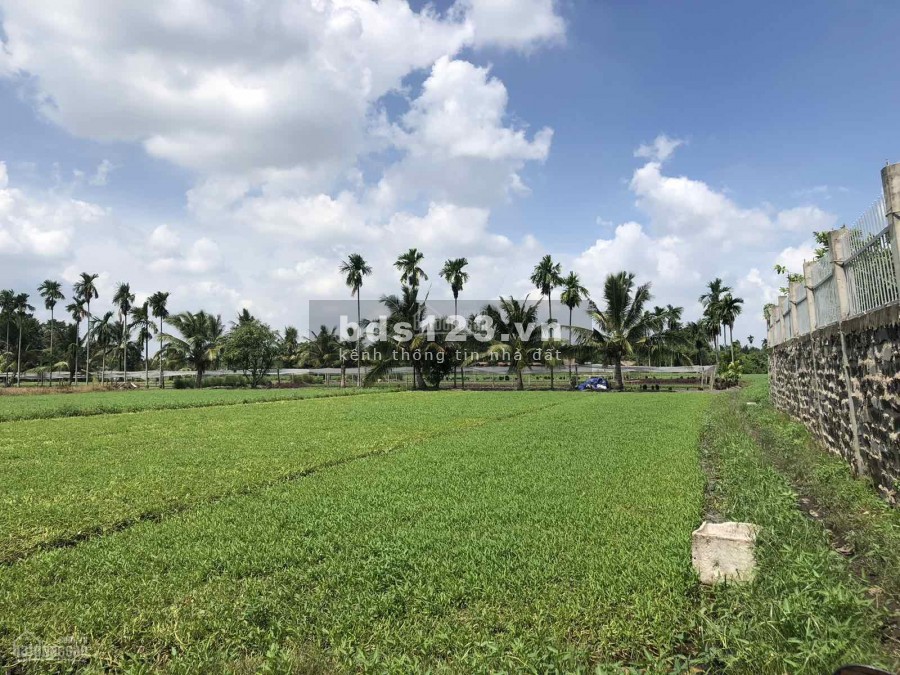 Cần ra nhanh Lô đất giáp tỉnh lộ 9, Hóc Môn 1000m2 chỉ 8,9 tỷ LH: 0982638022