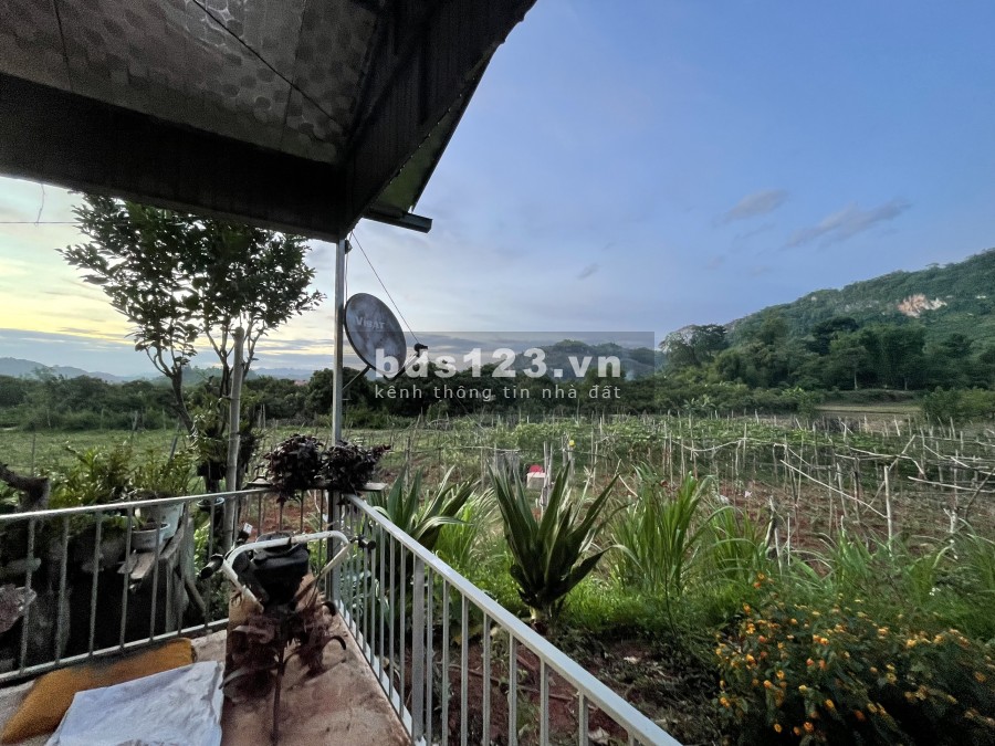 Bán đất làm Homestay Nghỉ Dưỡng Mộc Châu, lưng tựa núi, suối chảy quanh xuất sắc 0822356688
