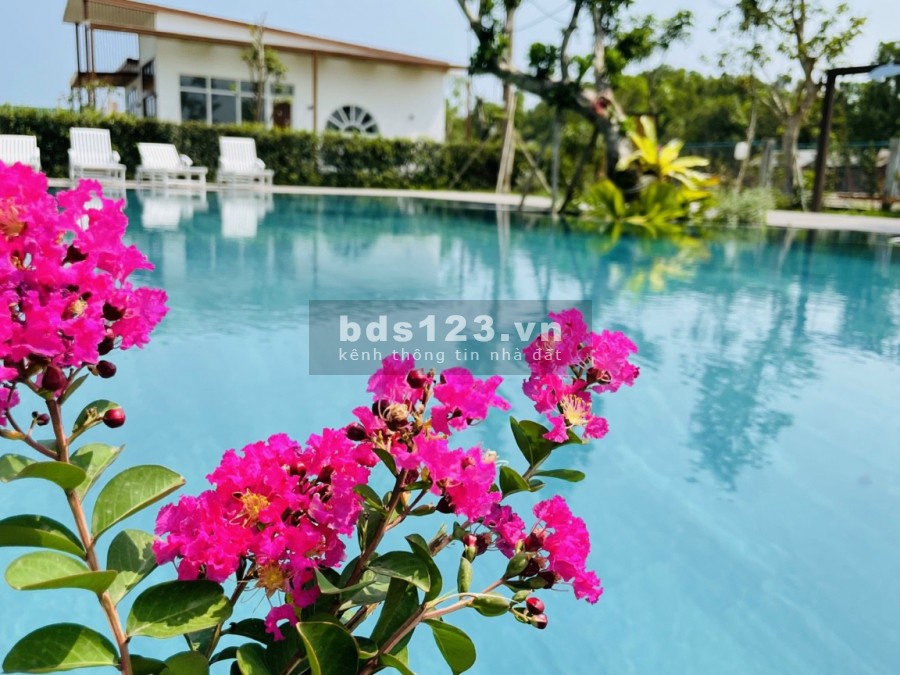Bán nhà vườn tại Bà Rịa Vũng Tàu, cách biển Lộc An 5km, Y hình