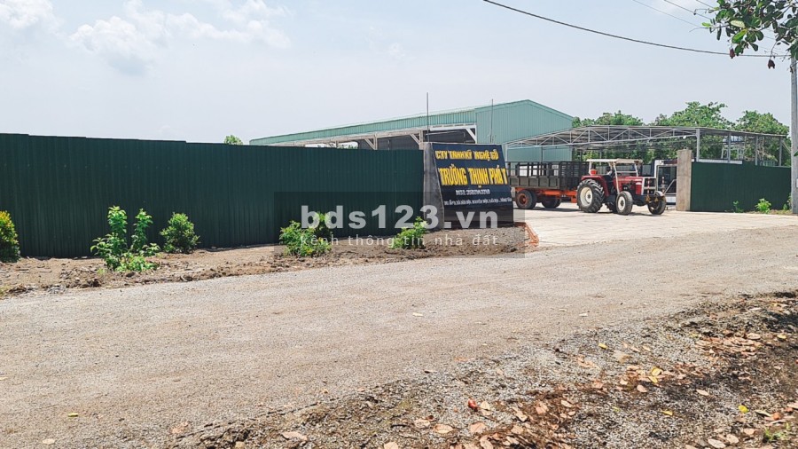 Kẹt tiền bán gấp 1 mẫu đất xuyên mộc 2 Mặt tiền trước sau đường nhà nước rộng 7m