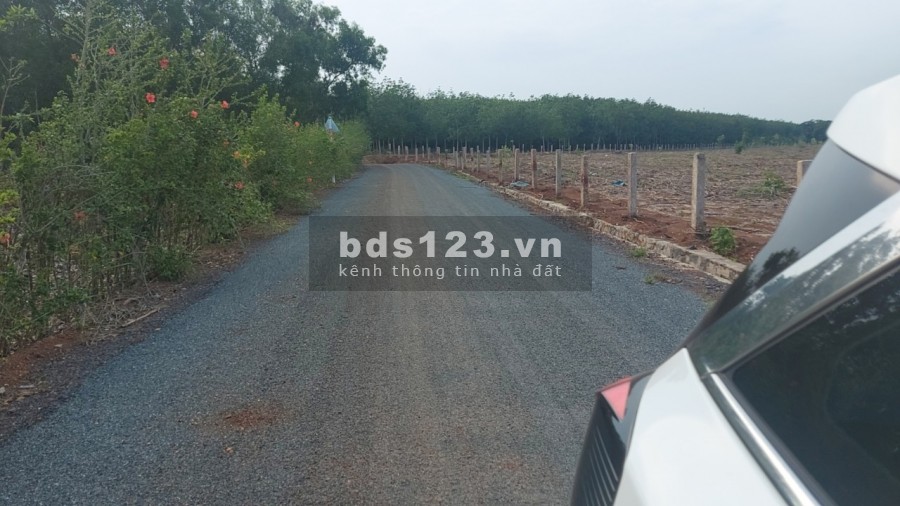 Kẹt tiền bán gấp 1 mẫu đất xuyên mộc 2 Mặt tiền trước sau đường nhà nước rộng 7m