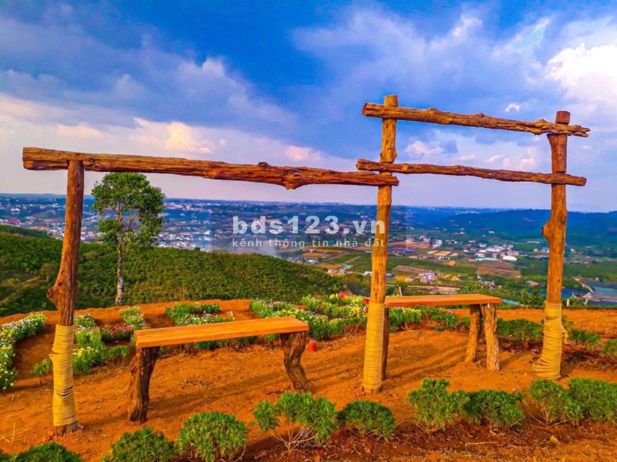 Đất nghỉ dưỡng tốt nhất giá rẻ nhất giữa đại dịch tại Bảo Lộc, sổ hồng