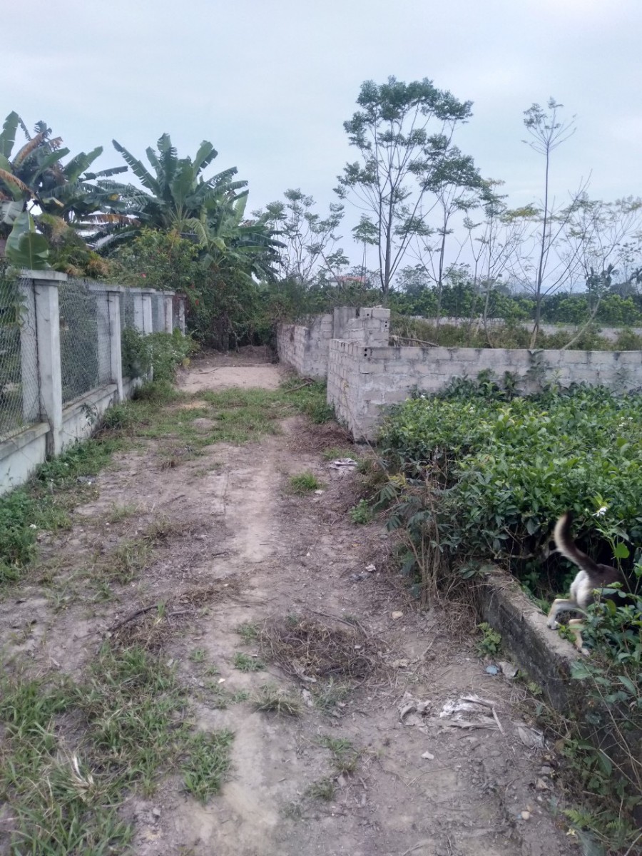 Chính chủ bán lô đất vị trí đẹp vuông vắn tại Yên Bài - Ba Vì, tiện ích đủ