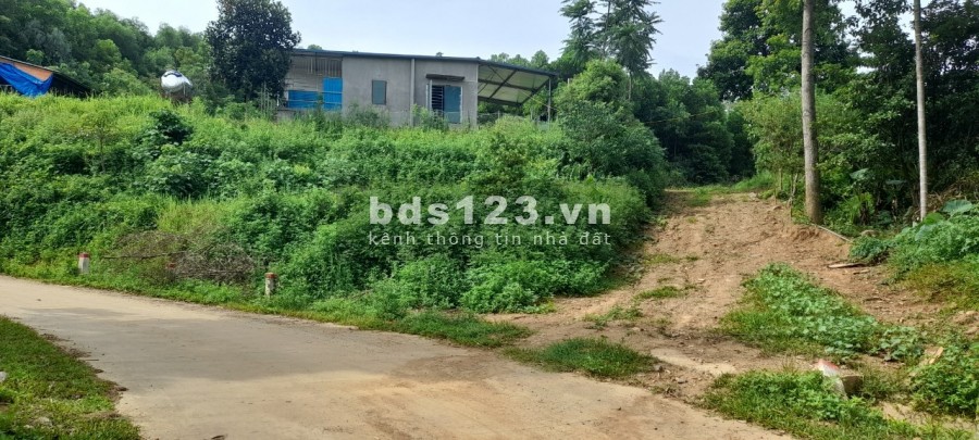 Đẹp bất chấp rẻ bất ngờ hơn 1 tỷ có ngay 825m thổ cư nghỉ dưỡng Lương Sơn Hoà Bình