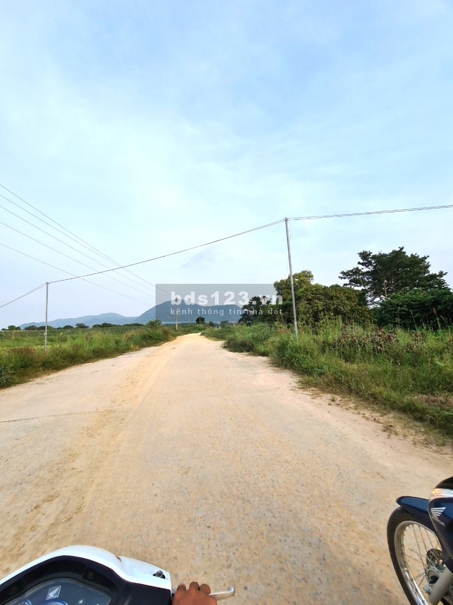 Bán đất mặt tiền thị trấn Tân Nghĩa 7000m2, giá 1.6 tỷ, Hàm Tân, Bình Tân, liên hệ 0931144449