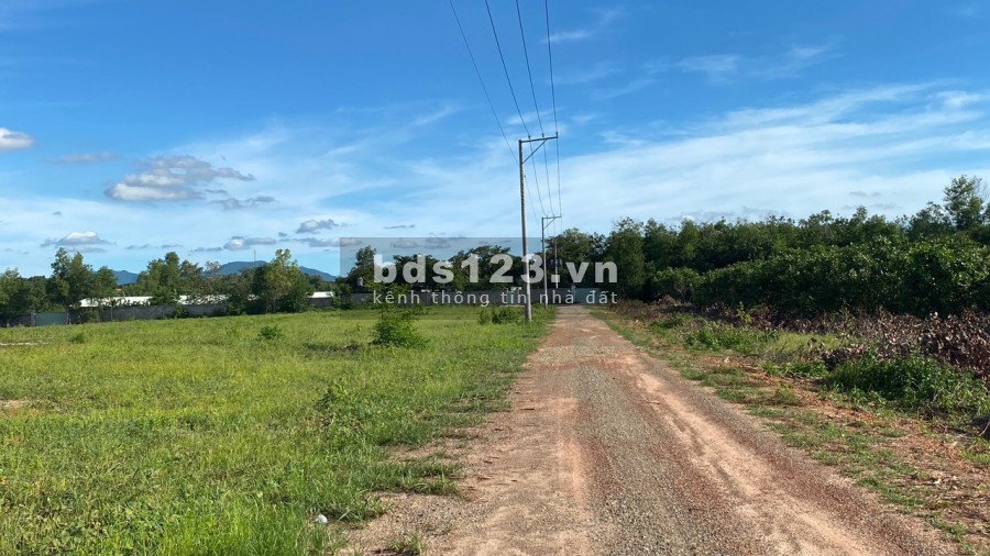 Cần bán gấp 2002m2 đất nông nghiệp kế biển, xã Bình Trị, Quảng Ngãi 290 triệu