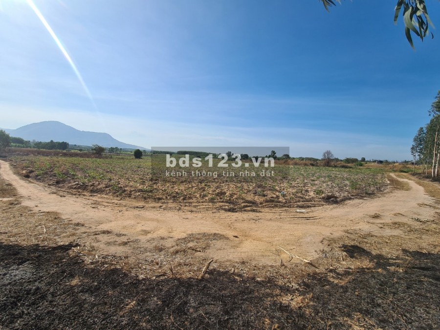 Bán Đất Mặt Tiền 555 triệu, 33x150m, KP 7, T. trấn Tân Nghĩa, Hàm Tân, Bình Thuận - 0933644449