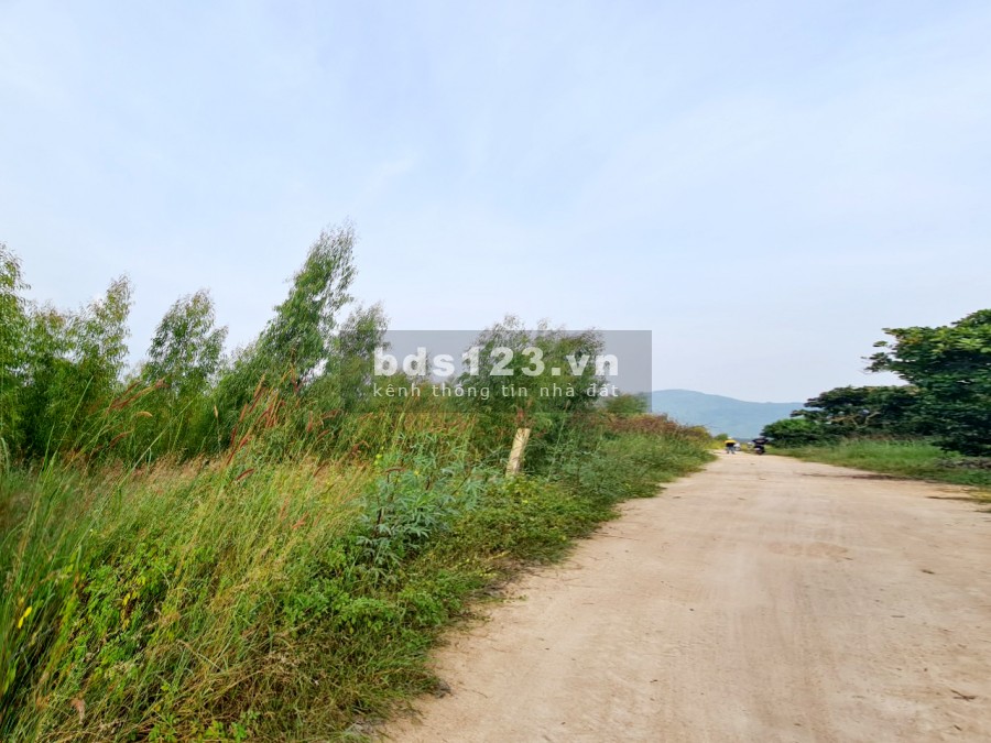 Bán đất mặt tiền thị trấn Tân Nghĩa 7000m2, giá 1.6 tỷ, Hàm Tân, Bình Tân, liên hệ 0931144449