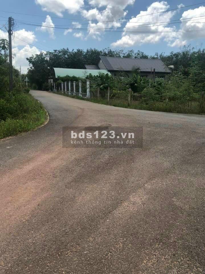 Định Hiệp – Dầu Tiếng 1000m2 sổ riêng chính chủ giá rẻ, liên hệ 0337573775