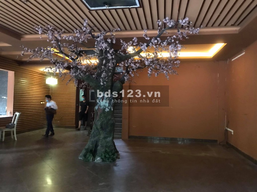 Biệt thự lô góc 3 thoáng kinh doanh, 1 tầng hầm 4 tầng nổi DT 170m2 tại Xa La giá 26,5 tỷ