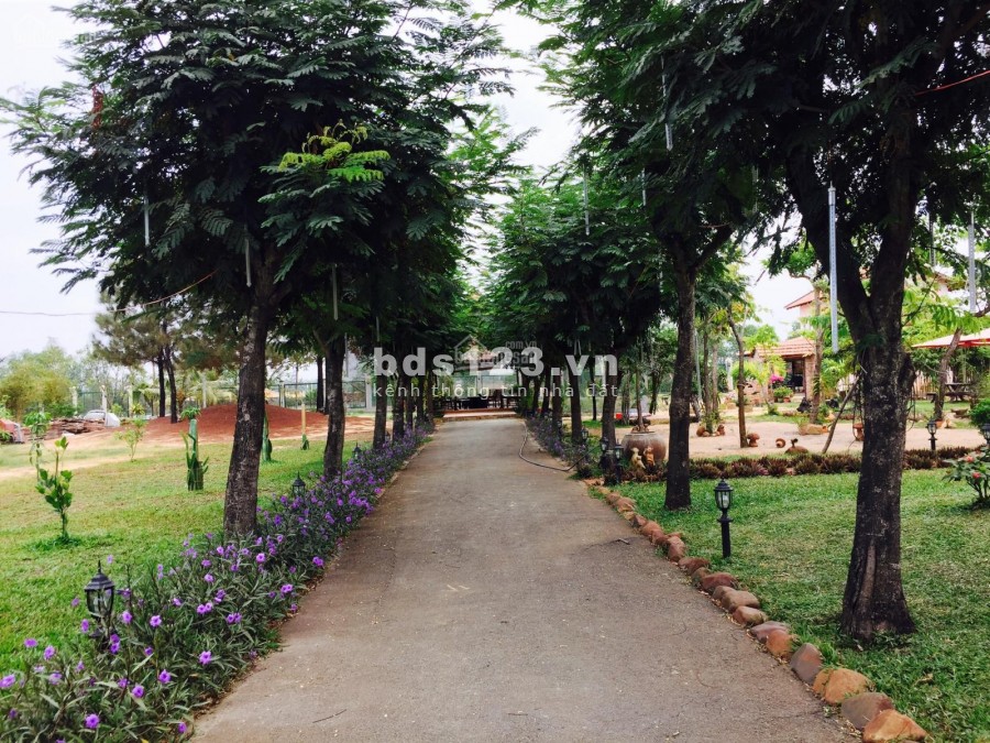 Chính chủ cần bán gấp giá tốt biệt thự vườn 3900m2 Ngay trung tâm Quận 2