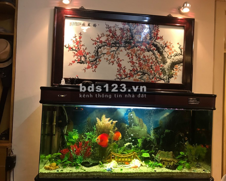 Bán GẤP nhà ngõ phố Yên Hòa 2 mặt thoáng 6 phòng ngủ Diện tích 56m2 x 5 tầng