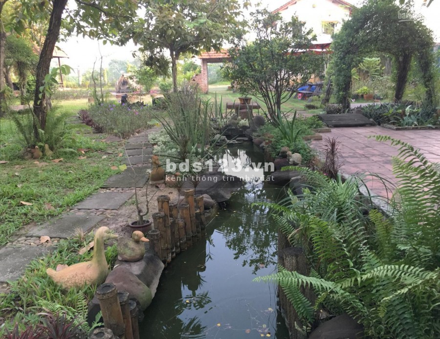 Chính chủ cần bán gấp giá tốt biệt thự vườn 3900m2 Ngay trung tâm Quận 2