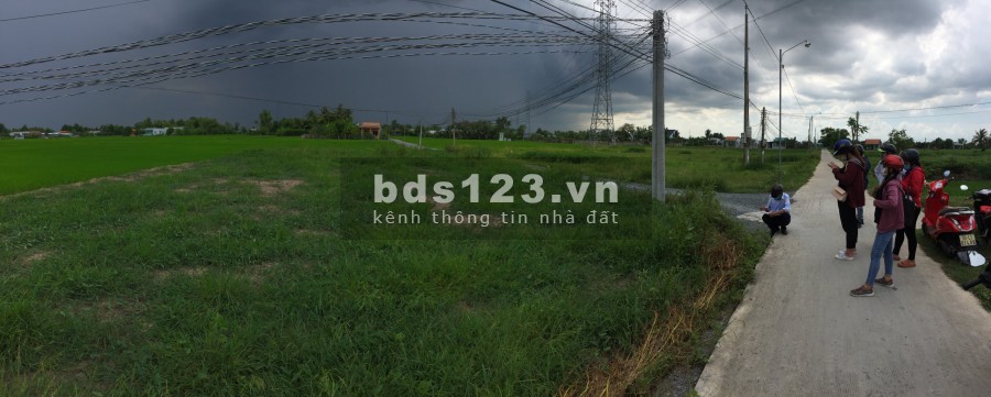 Bán Đất Lúa Ấp Xóm Mới, xã Tân Lân huyện Cần Đước Long An, giá bán 1.75 triệu/m2