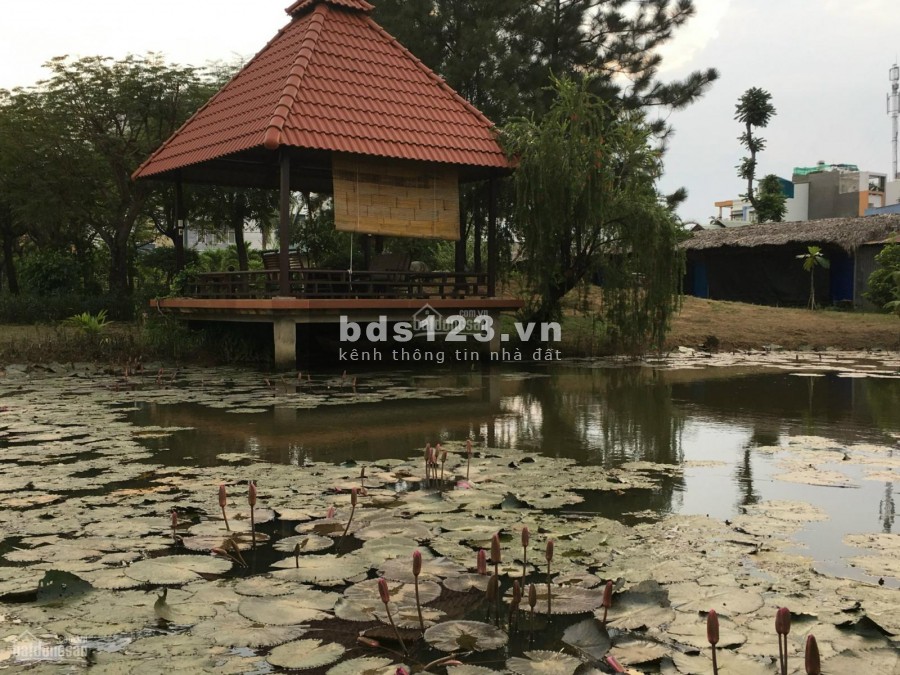 Chính chủ cần bán gấp giá tốt biệt thự vườn 3900m2 Ngay trung tâm Quận 2