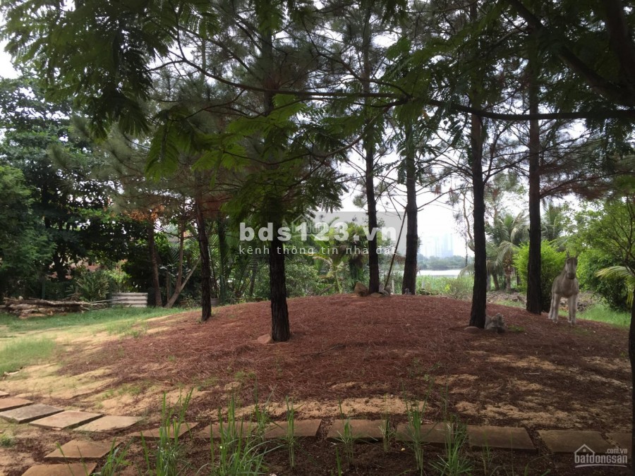 Chính chủ cần bán gấp giá tốt biệt thự vườn 3900m2 Ngay trung tâm Quận 2
