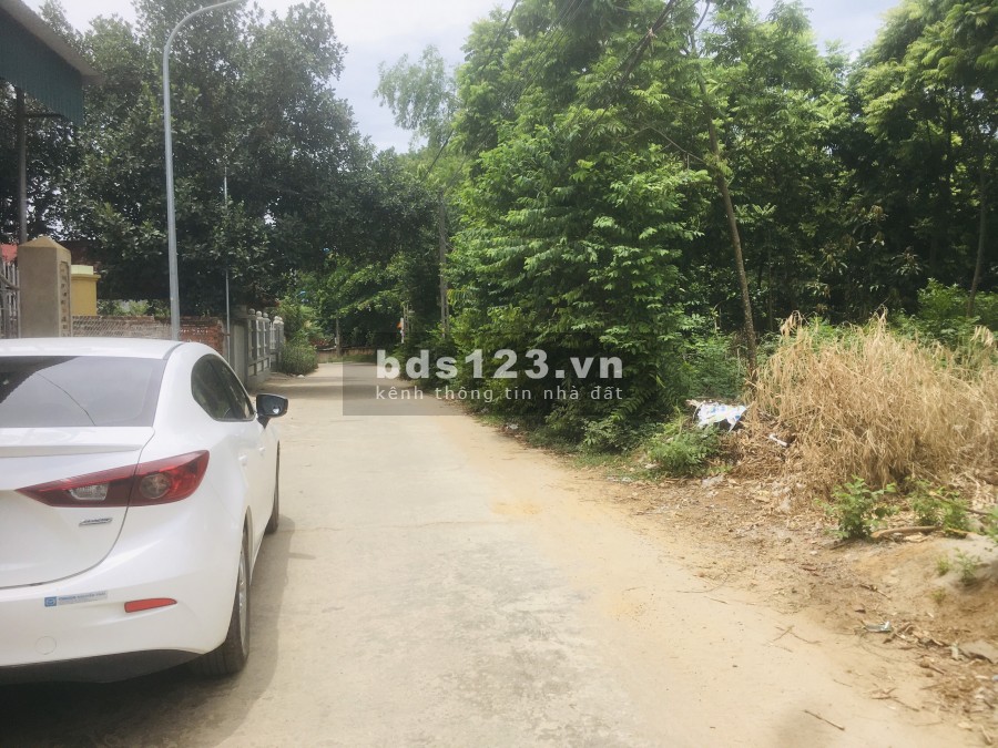 Đất Cổ Đông tiềm năng còn nhiều cho các nhà đầu tư, khu dân cư đông