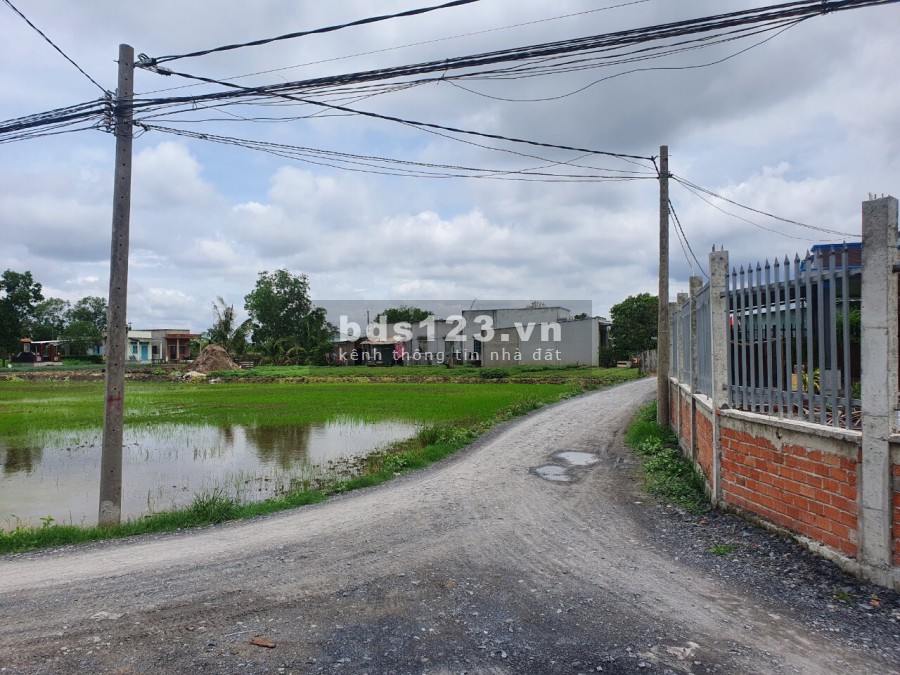 Bán Đất Ngộp Full Thổ , Ấp Cầu Chùa , Xã Mỹ Lệ , Cần Đước , Long An