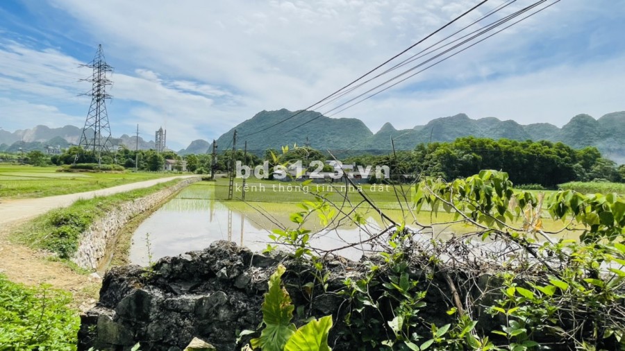 Siêu phẩm 2 mặt tiền 2540m 400m thổ cư view cánh đồng Trung Sơn Lương Sơn