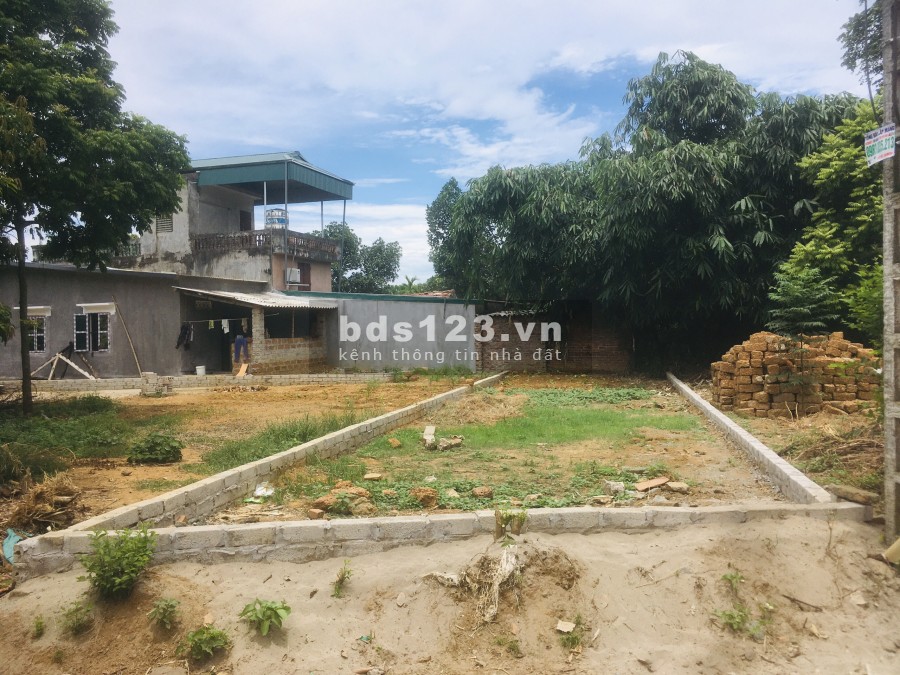 Đất Cổ Đông tiềm năng còn nhiều cho các nhà đầu tư, khu dân cư đông