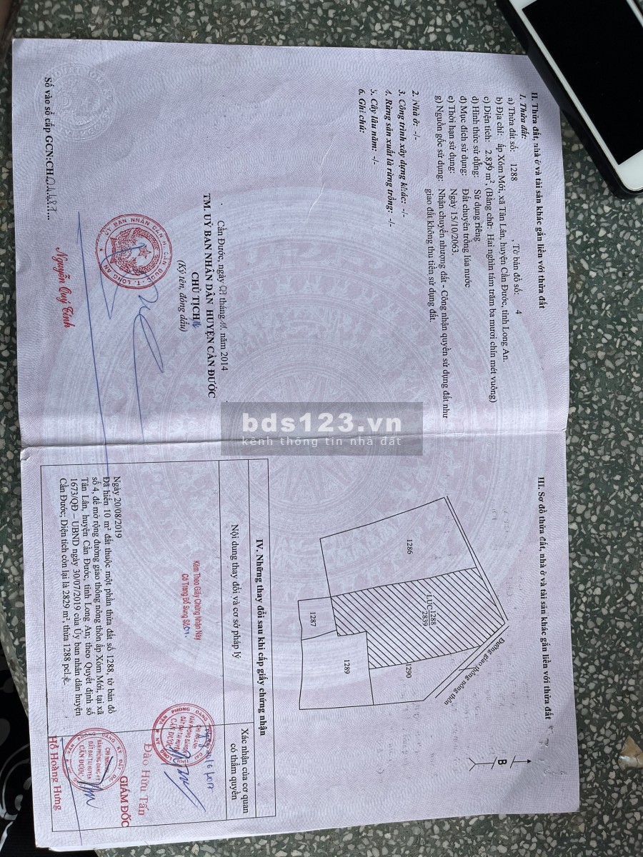 Bán Đất Lúa Ấp Xóm Mới, xã Tân Lân huyện Cần Đước Long An, giá bán 1.75 triệu/m2