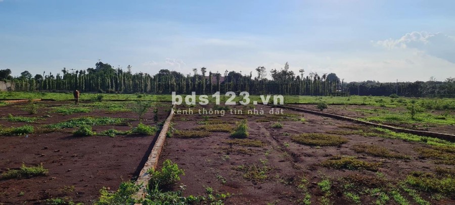 Bán đất thổ cư thị xã Phú Mỹ, gần sân bay quốc tế Long Thành, giá 950 triệu