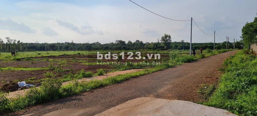 Bán đất thổ cư thị xã Phú Mỹ, gần sân bay quốc tế Long Thành, giá 950 triệu